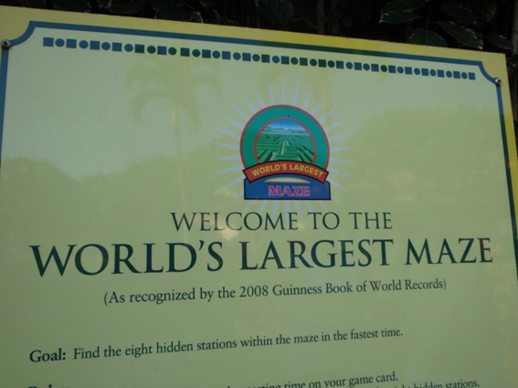 ハネムーンでレンタカードライブ　オアフ島 ノースショア編