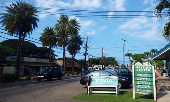 ビッグウェイブを見に！