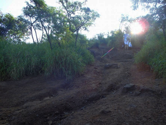 朝一番にカイルアに行きます！