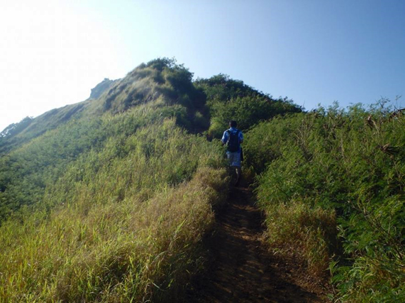 朝一番にカイルアに行きます！