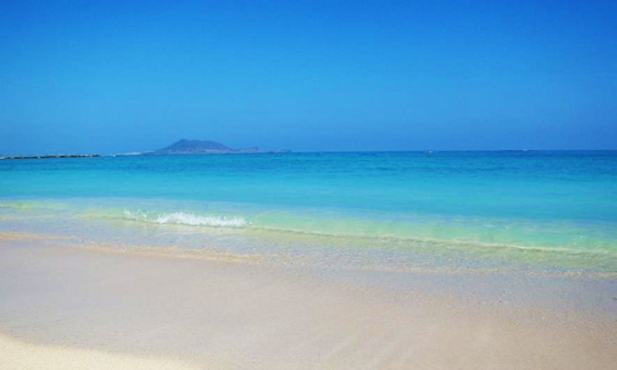 朝一番にカイルアに行きます！