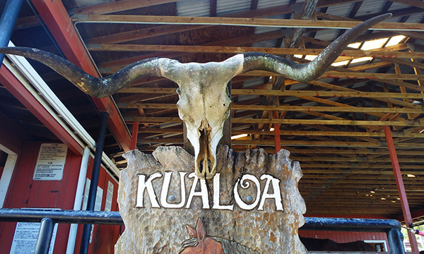 オアフ島東海岸編