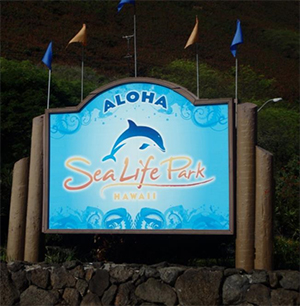 アクティビティをはしご編