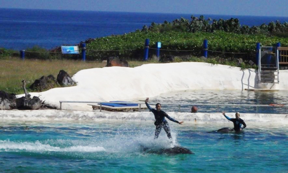 アクティビティをはしご編
