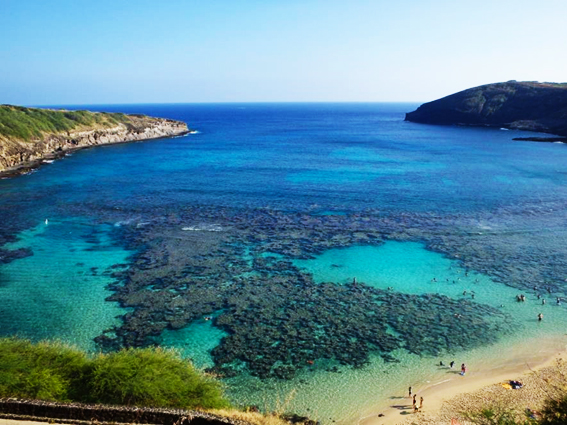 アクティビティをはしご編