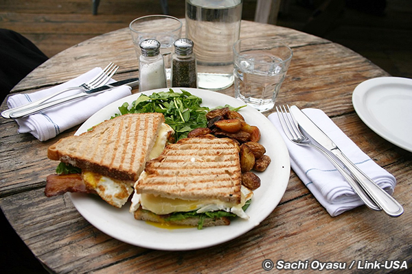 パシフィック コースト ハイウェイ を走る!