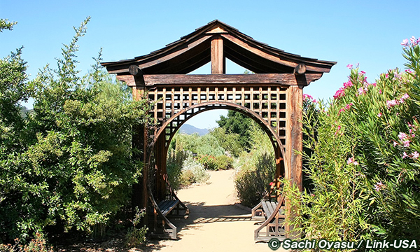 オーハイのメディテーション・マウンテンなどを巡る