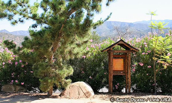 オーハイのメディテーション・マウンテンなどを巡る