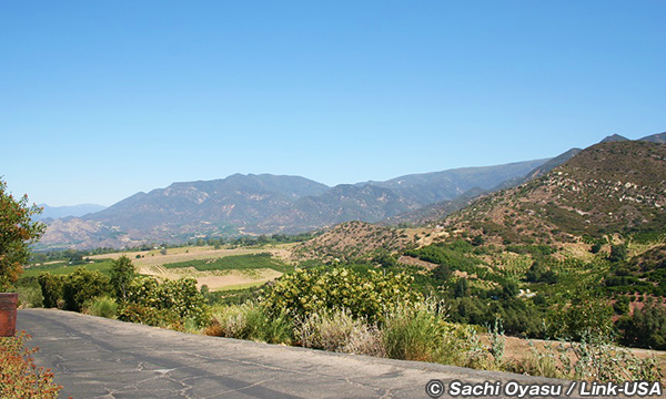 オーハイのメディテーション・マウンテンなどを巡る