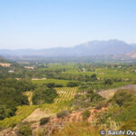 メディテーション・マウンテンからの眺め