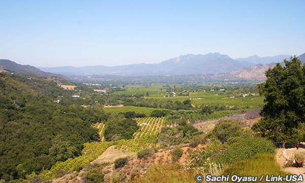 メディテーション・マウンテンからの眺め