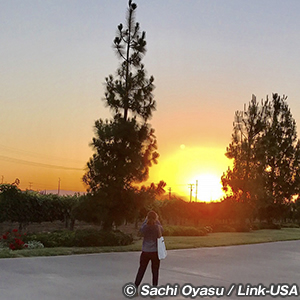 South Coast Winery Resort and Spa, Temecula