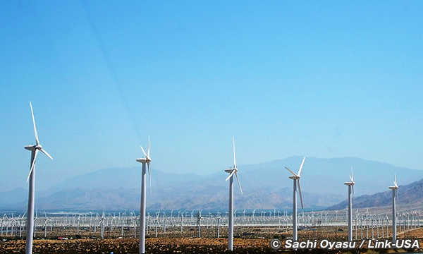 Palm Springs Wind Farm