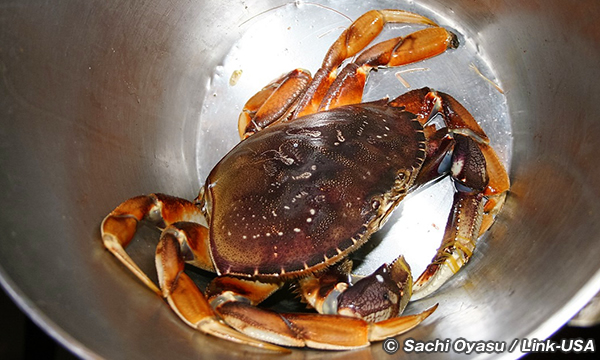 サンディエゴでシーフードを堪能