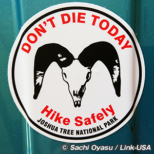 ジョシュアツリー ビジターセンター