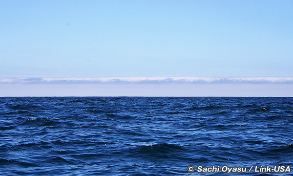 ダナポイント　カリフォルニアの海へ出る