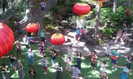 ウクレレ・イベントの旅 2016