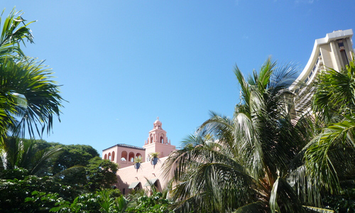 ウクレレ・イベントの旅 2016