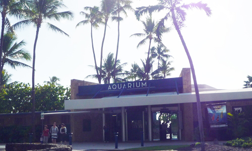 ワイキキ水族館