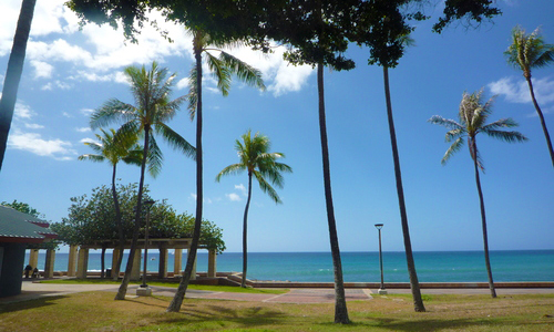 スイートストリングス・ウクレレオーケストラ