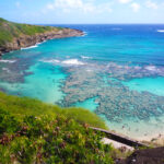 ハナウマ湾でシュノーケリング