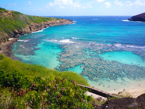 ハナウマ湾でシュノーケリング