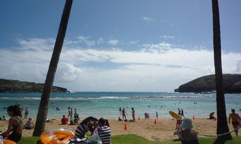 ハナウマ湾でシュノーケリング