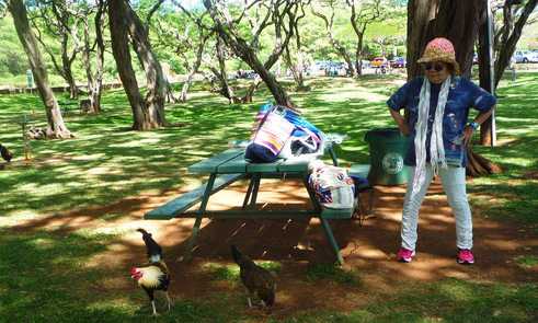 ハナウマ湾の駐車場