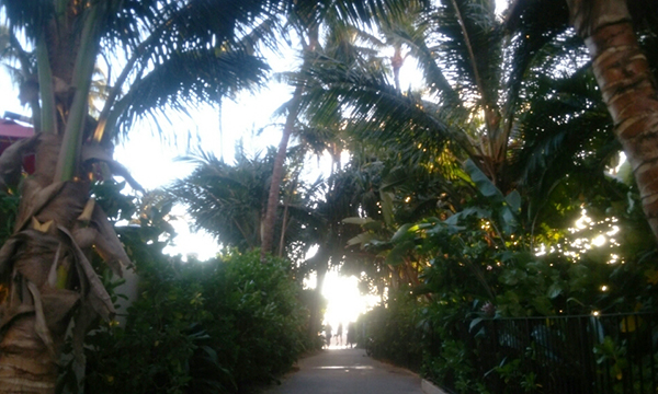 最後のサンセット