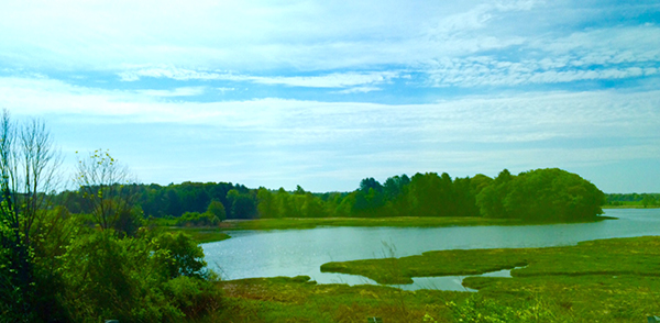 念願のワークブーツ購入