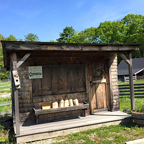 再びFreeportのL.L.Bean本社へ