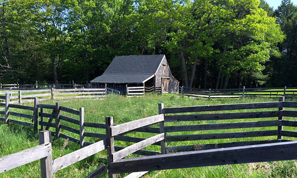 再びFreeportのL.L.Bean本社へ