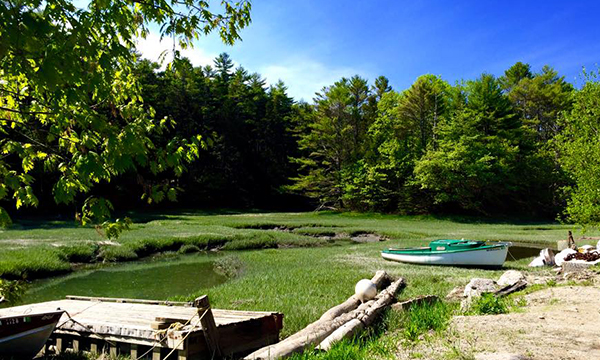 再びFreeportのL.L.Bean本社へ