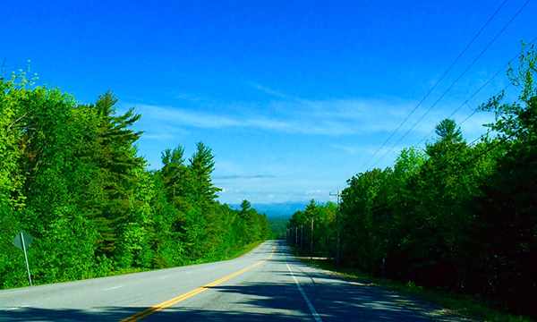 大自然公園とグルメなドライブ