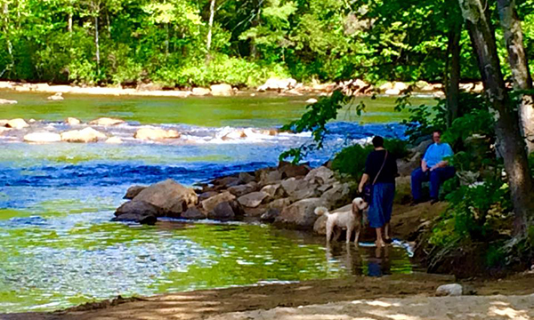 大自然公園とグルメなドライブ