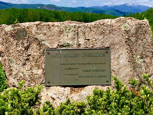 大自然公園とグルメなドライブ