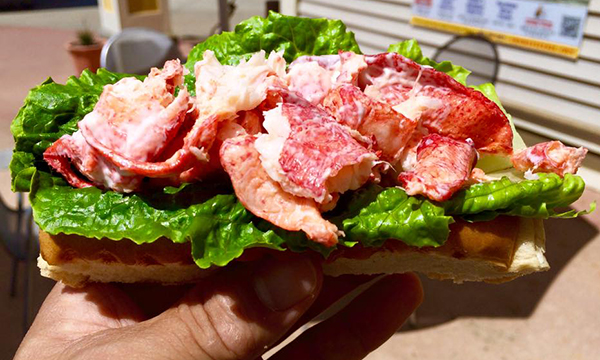 大自然公園とグルメなドライブ