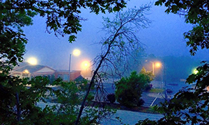 大自然公園とグルメ ドライブ