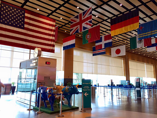 アメリカから帰国