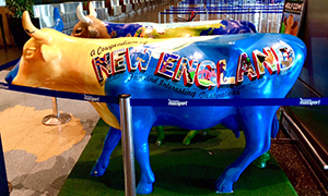 アメリカから帰国