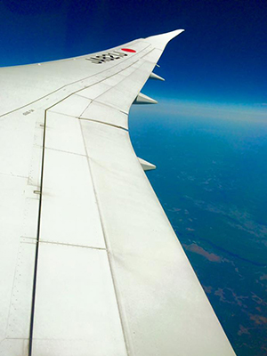 アメリカから帰国