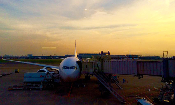 アメリカから帰国