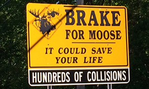 ニューハンプシャー州のティルトンへ買い付けに行く