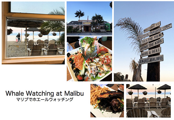 子供と一緒にカリフォルニアを楽しもう!