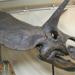 ジャーニーミュージアム