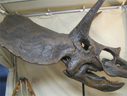 ジャーニーミュージアム