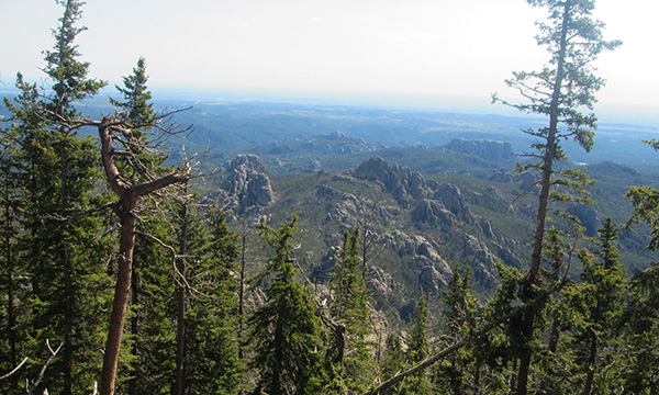 ハーニーピーク