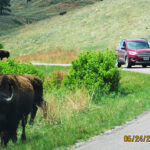 カスター州立公園