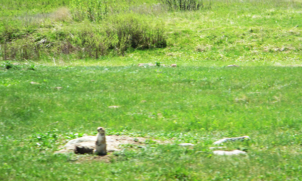 カスター州立公園