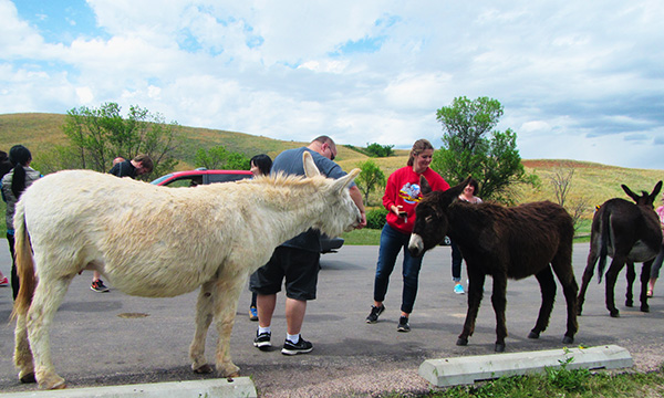 カスター州立公園